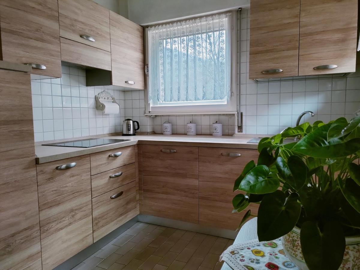 Appartement Il Terrazzo Sulle Dolomiti à Cibiana Extérieur photo