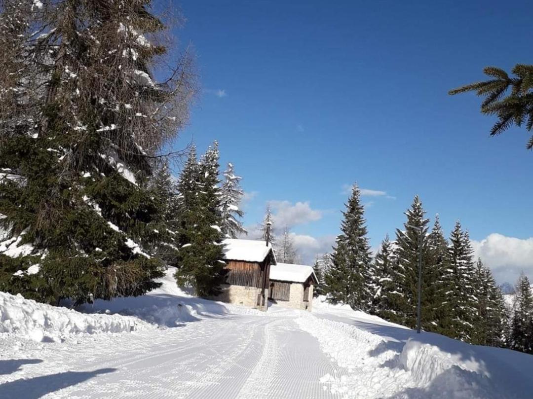 Appartement Il Terrazzo Sulle Dolomiti à Cibiana Extérieur photo
