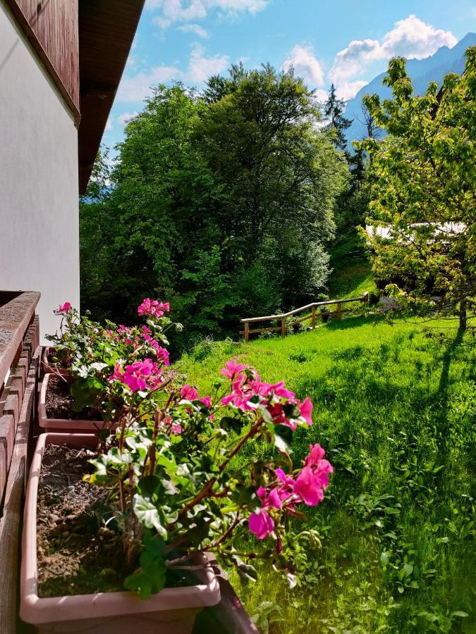 Appartement Il Terrazzo Sulle Dolomiti à Cibiana Extérieur photo