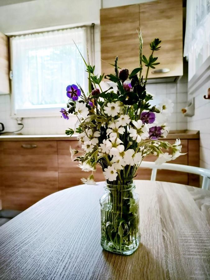 Appartement Il Terrazzo Sulle Dolomiti à Cibiana Extérieur photo